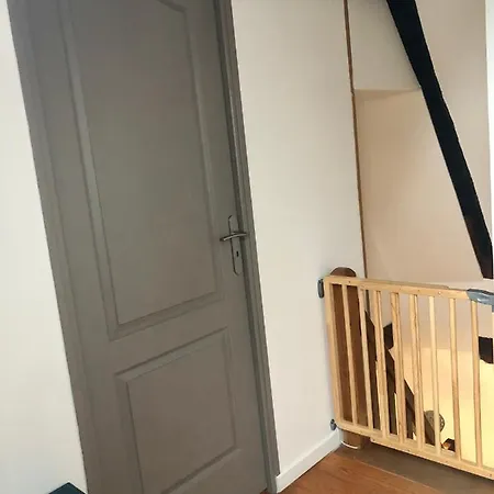 Chez Zoa * 지그낙